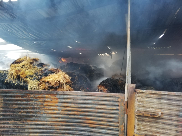 Los Bomberos de Almucar dan por extinguido el incendio ocurrido la noche del mircoles en una  granja de Molvizar